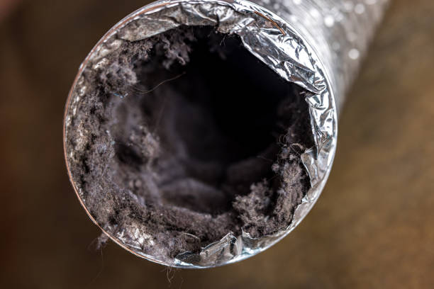 Best Best Air Duct Cleaning Near Me  in Maysville, OK