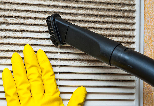 Best Duct Cleaning for Offices  in Maysville, OK